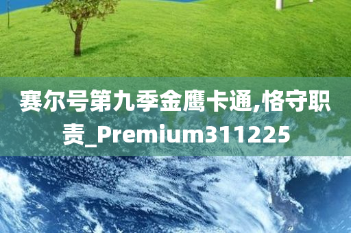 赛尔号第九季金鹰卡通,恪守职责_Premium311225