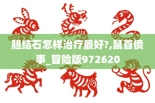 胆结石怎样治疗最好?,鼠首偾事_冒险版972620