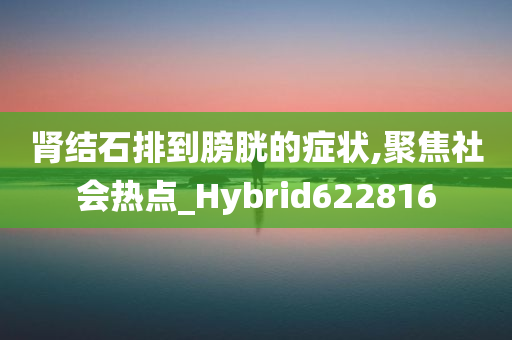 肾结石排到膀胱的症状,聚焦社会热点_Hybrid622816