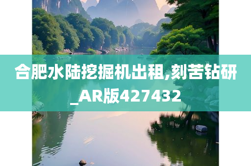 合肥水陆挖掘机出租,刻苦钻研_AR版427432