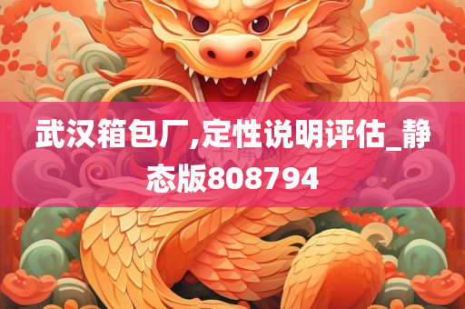 武汉箱包厂,定性说明评估_静态版808794