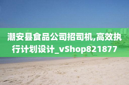 潮安县食品公司招司机,高效执行计划设计_vShop821877