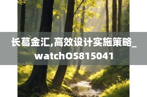 长葛金汇,高效设计实施策略_watchOS815041