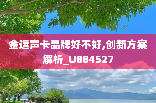 金运声卡品牌好不好,创新方案解析_U884527