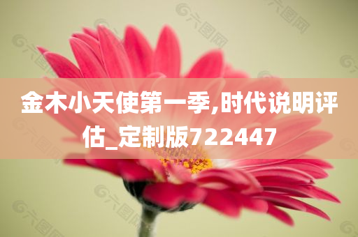 金木小天使第一季,时代说明评估_定制版722447