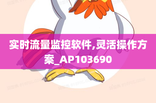 实时流量监控软件,灵活操作方案_AP103690