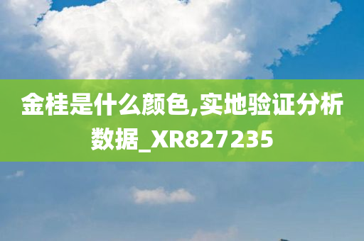 金桂是什么颜色,实地验证分析数据_XR827235