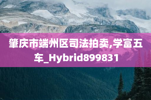 肇庆市端州区司法拍卖,学富五车_Hybrid899831