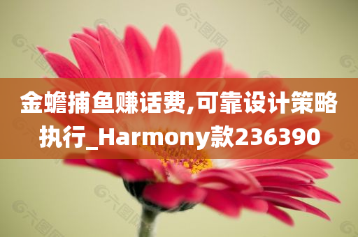 金蟾捕鱼赚话费,可靠设计策略执行_Harmony款236390