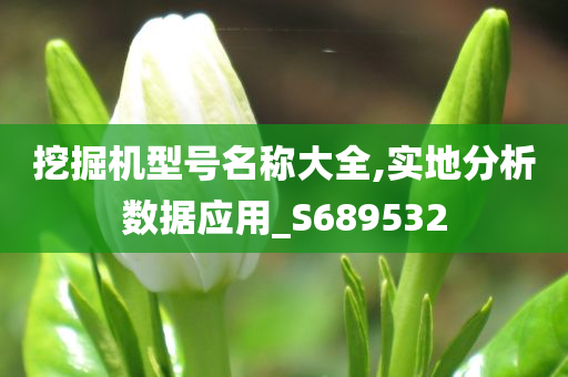 挖掘机型号名称大全,实地分析数据应用_S689532