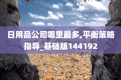 日用品公司哪里最多,平衡策略指导_基础版144192