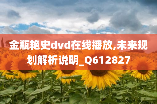 金瓶艳史dvd在线播放,未来规划解析说明_Q612827