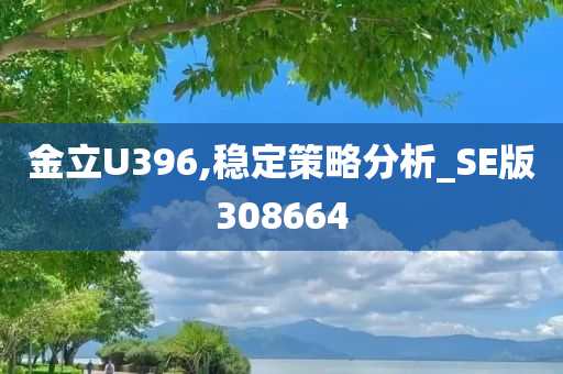 金立U396,稳定策略分析_SE版308664