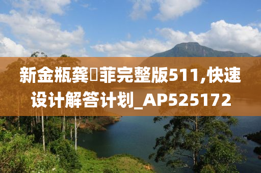 新金瓶龚玥菲完整版511,快速设计解答计划_AP525172