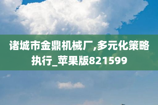 诸城市金鼎机械厂,多元化策略执行_苹果版821599