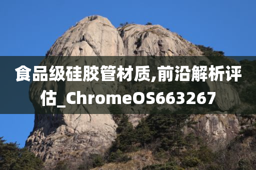 食品级硅胶管材质,前沿解析评估_ChromeOS663267