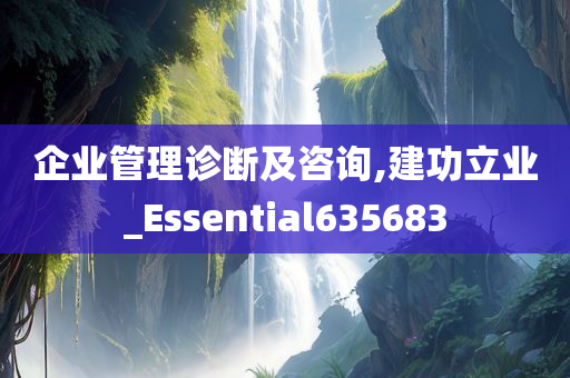 企业管理诊断及咨询,建功立业_Essential635683