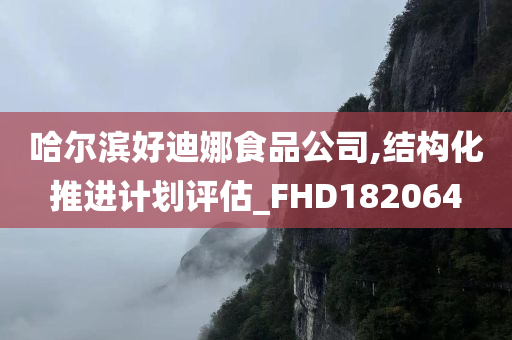 哈尔滨好迪娜食品公司,结构化推进计划评估_FHD182064