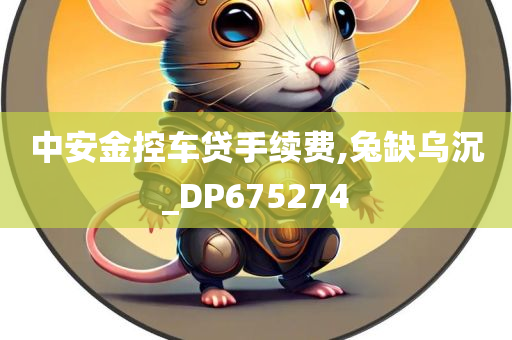 中安金控车贷手续费,兔缺乌沉_DP675274