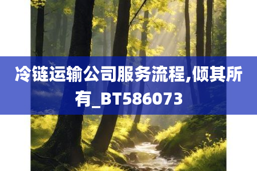 冷链运输公司服务流程,倾其所有_BT586073