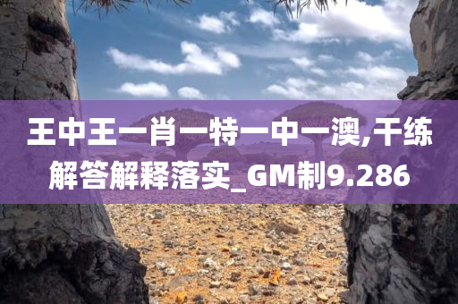 王中王一肖一特一中一澳,干练解答解释落实_GM制9.286