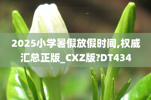 2025小学暑假放假时间,权威汇总正版_CXZ版?DT434