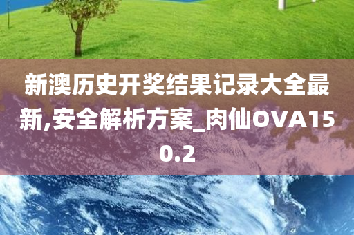 新澳历史开奖结果记录大全最新,安全解析方案_肉仙OVA150.2