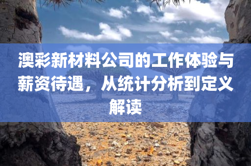 澳彩新材料公司的工作体验与薪资待遇，从统计分析到定义解读