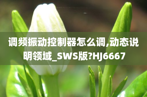 调频振动控制器怎么调,动态说明领域_SWS版?HJ6667