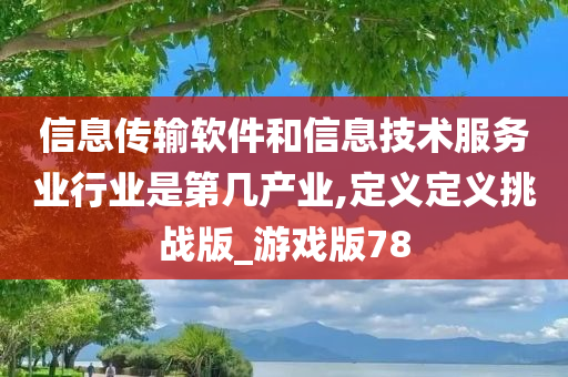 信息传输软件和信息技术服务业行业是第几产业,定义定义挑战版_游戏版78