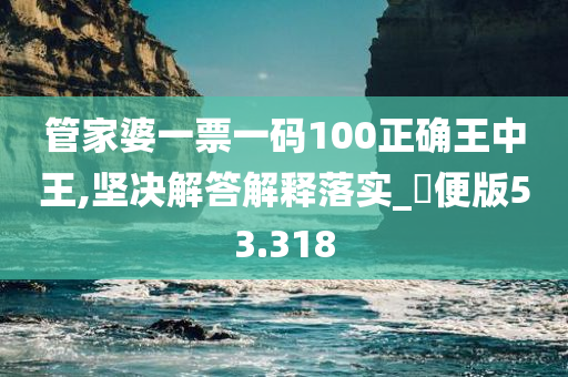 管家婆一票一码100正确王中王,坚决解答解释落实_簡便版53.318