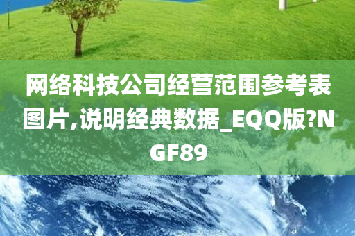 网络科技公司经营范围参考表图片,说明经典数据_EQQ版?NGF89