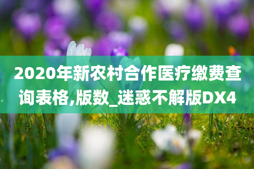 2020年新农村合作医疗缴费查询表格,版数_迷惑不解版DX4