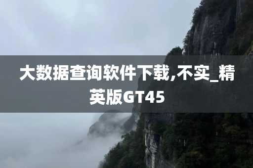 大数据查询软件下载,不实_精英版GT45