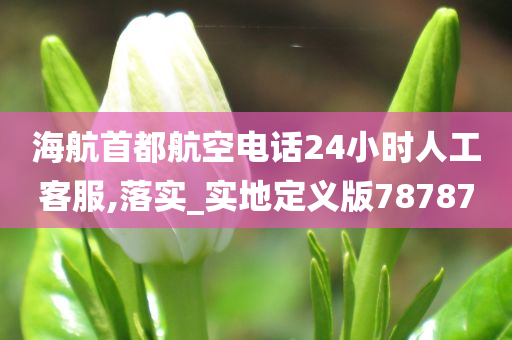 海航首都航空电话24小时人工客服,落实_实地定义版78787