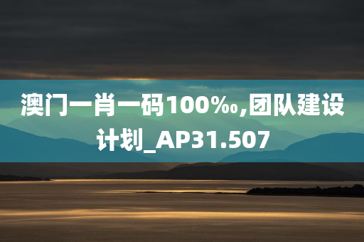 澳门一肖一码100‰,团队建设计划_AP31.507