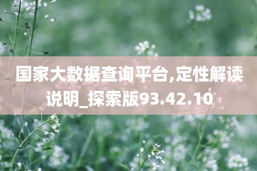 国家大数据查询平台,定性解读说明_探索版93.42.10