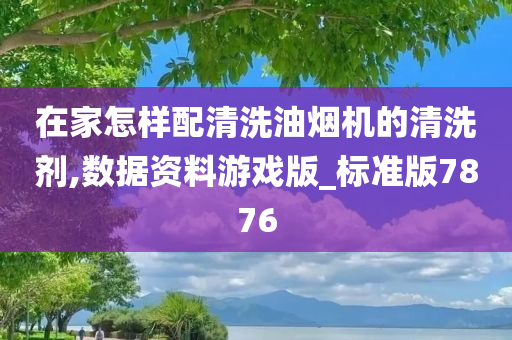 在家怎样配清洗油烟机的清洗剂,数据资料游戏版_标准版7876