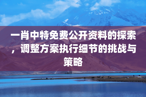 一肖中特免费公开资料的探索，调整方案执行细节的挑战与策略