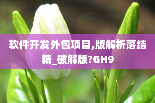 软件开发外包项目,版解析落结精_破解版?GH9