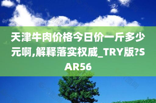 天津牛肉价格今日价一斤多少元啊,解释落实权威_TRY版?SAR56