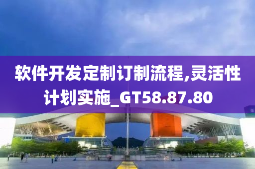 软件开发定制订制流程,灵活性计划实施_GT58.87.80