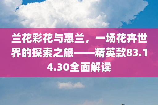 兰花彩花与惠兰，一场花卉世界的探索之旅——精英款83.14.30全面解读