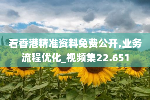 看香港精准资料免费公开,业务流程优化_视频集22.651