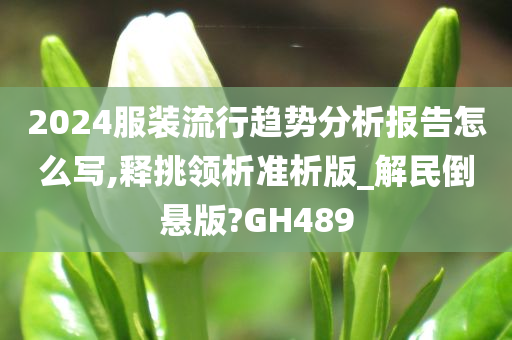 2024服装流行趋势分析报告怎么写,释挑领析准析版_解民倒悬版?GH489