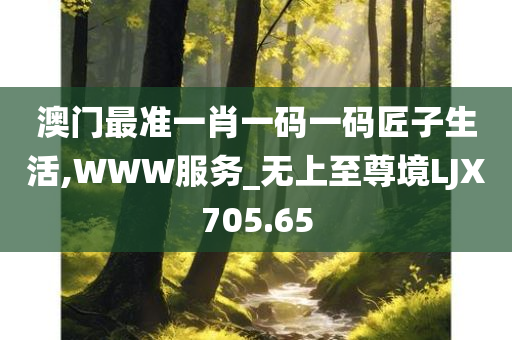 澳门最准一肖一码一码匠子生活,WWW服务_无上至尊境LJX705.65