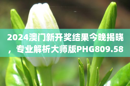 2024澳门新开奖结果今晚揭晓，专业解析大师版PHG809.58