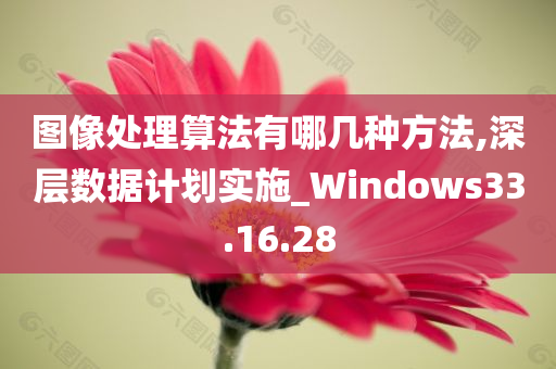 图像处理算法有哪几种方法,深层数据计划实施_Windows33.16.28