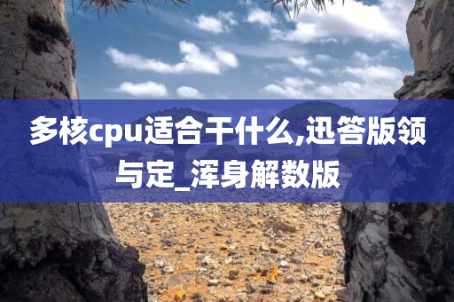 多核cpu适合干什么,迅答版领与定_浑身解数版