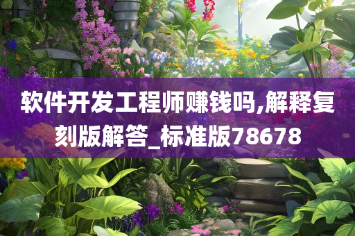 软件开发工程师赚钱吗,解释复刻版解答_标准版78678